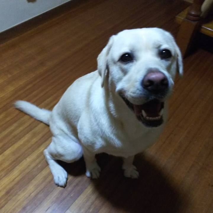 Fddafe0a f913 4098 a0c5 336bddd196d6 1536493275133