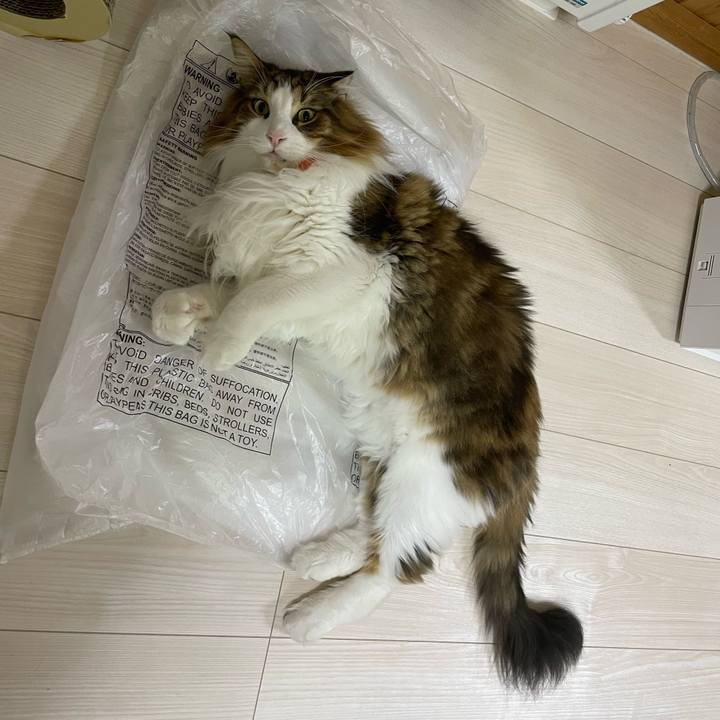 Fddb2bac cbb5 4909 8a48 146c8af3da38 1697572625308