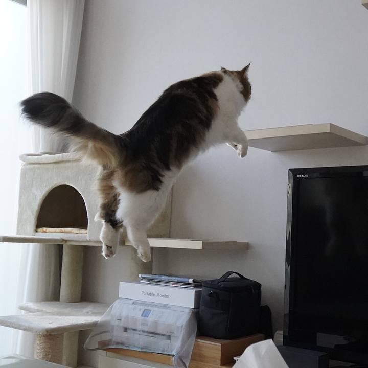 Fddb6ea7 850f 4064 819f 9a83ddb0146d 1610235020259