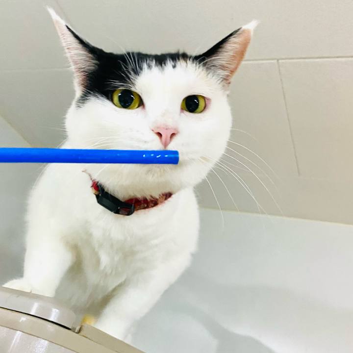 Fddb9edf c142 47ad 928a 27a4a10be5e7 1695038190124