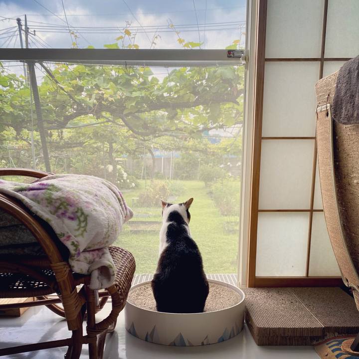 Fddba468 1fed 4eb8 9579 c7e7aece3986 1623549311794