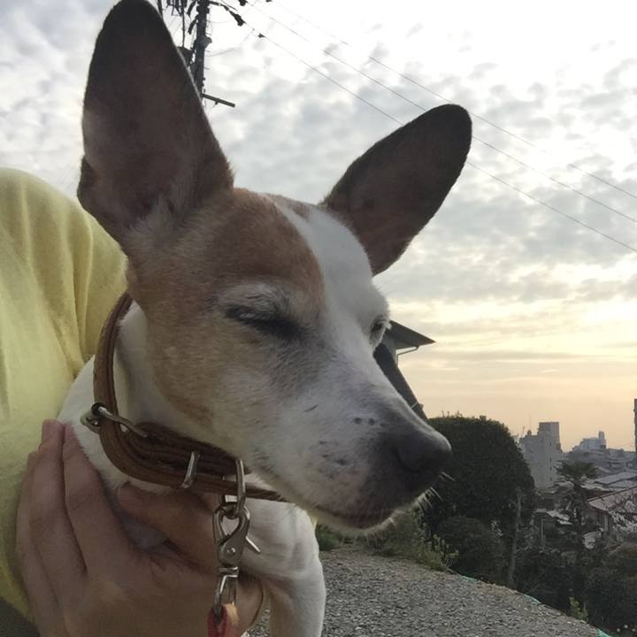 Fddbbb1e 0389 48e2 be28 66cf389a6914 1522143706281