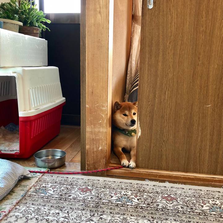 Fddbdef7 1ef3 47db a087 c75fabd3bf1e 1525424474764