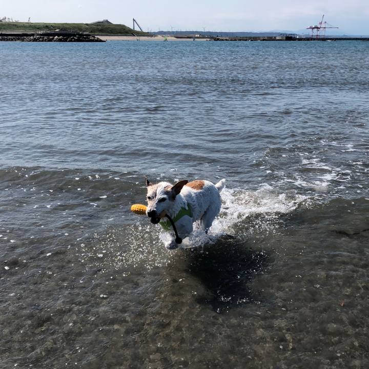 Fddc15d7 d6fa 40f6 98d6 ff9093e0358d 1528013678354