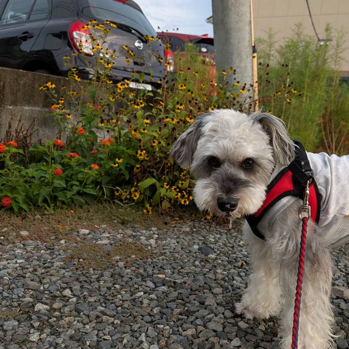 Fddc7c95 52e8 4362 b4c7 5a7476f3b5d3 1757631124915