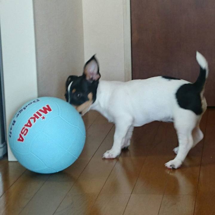 Fddcc167 def1 47cd a075 6cb435c5530a 1512557315797