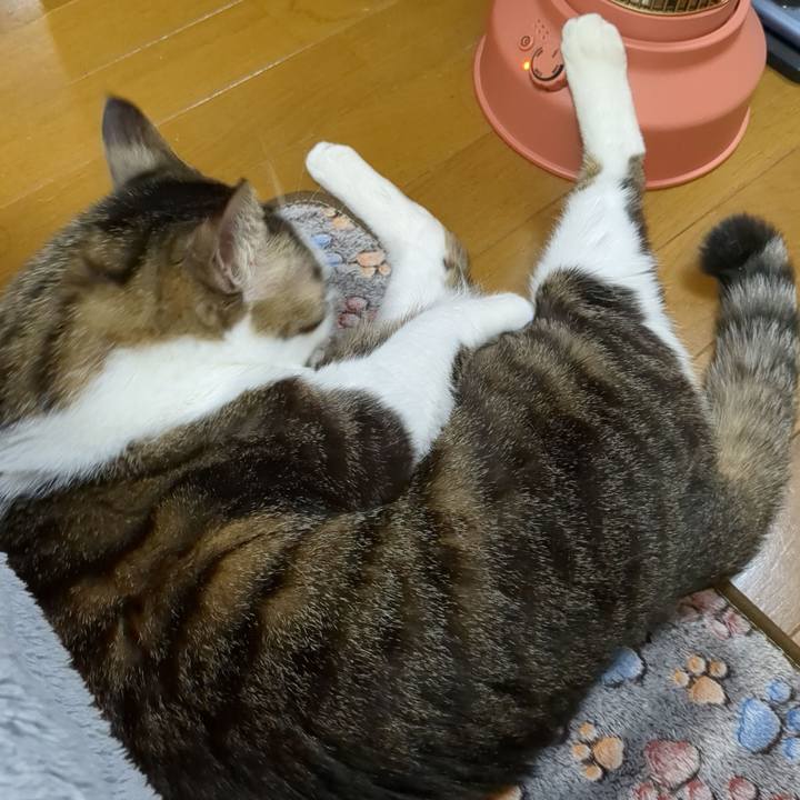 Fddccdd7 e39b 4211 bfaf 53b2cb892f1e 1674017502878