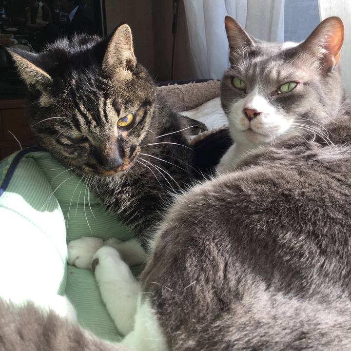 Fddd3f62 6353 4796 af60 d6b90184b8e3 1583569598623