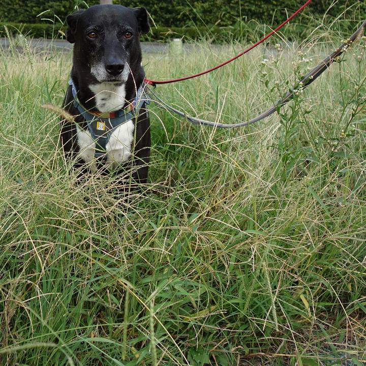 Fddd4d81 fabf 4f6a 948c 4f4810d69969 1727309582328