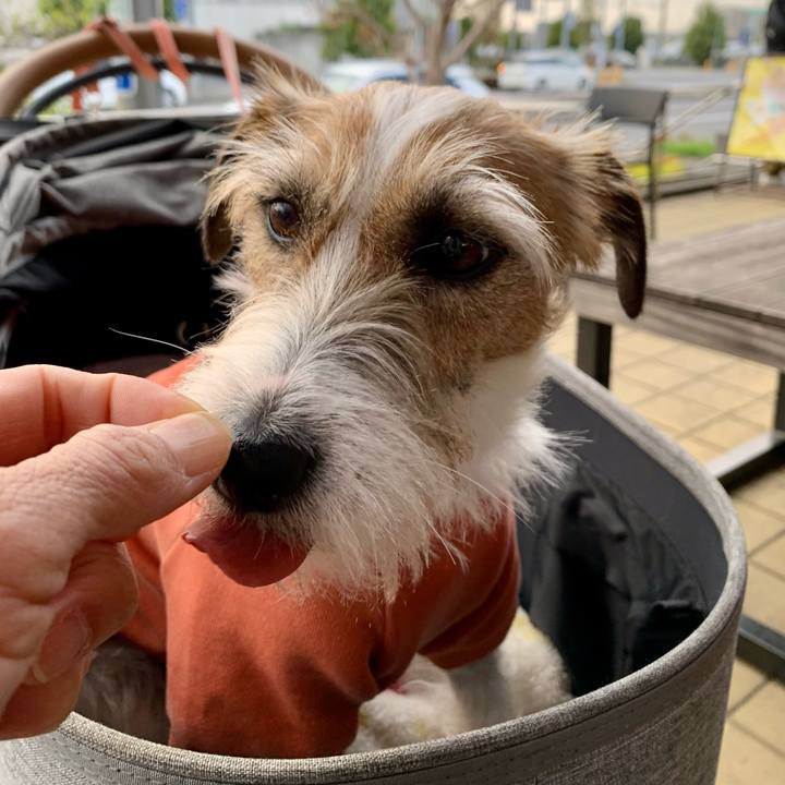 Fddd714c 78c2 4dc2 9861 f4a023a3c0f8 1617451138771