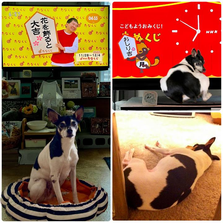 Fddd77cc 85f7 41a6 967b e72e6133d0cf 1669586752889