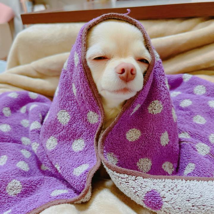 Fddddd7f 2226 4b9b 9610 57ca01e03b6c 1650542576128