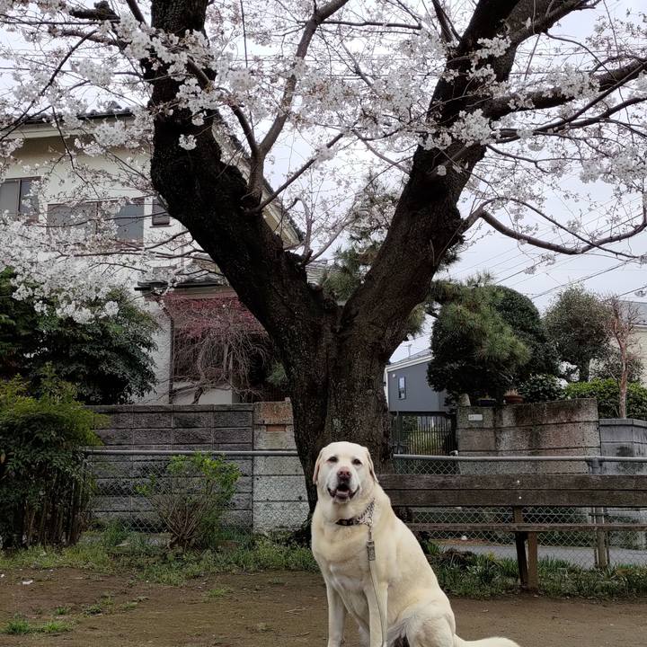 Fddde33b cff2 4291 a503 5bef200d4228 1712216187765