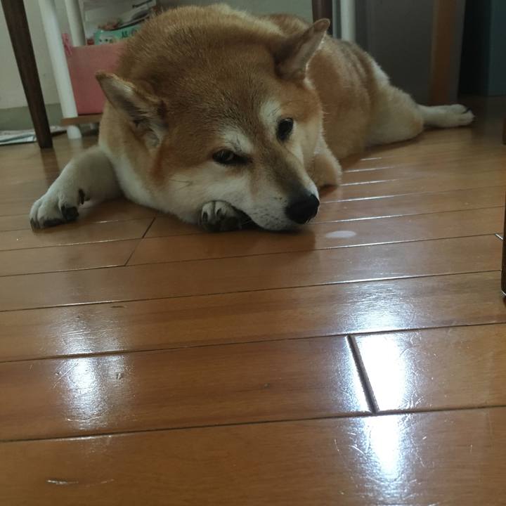 Fddde55b 0ab5 43dd b937 1b70f076d3c0 1601609265284