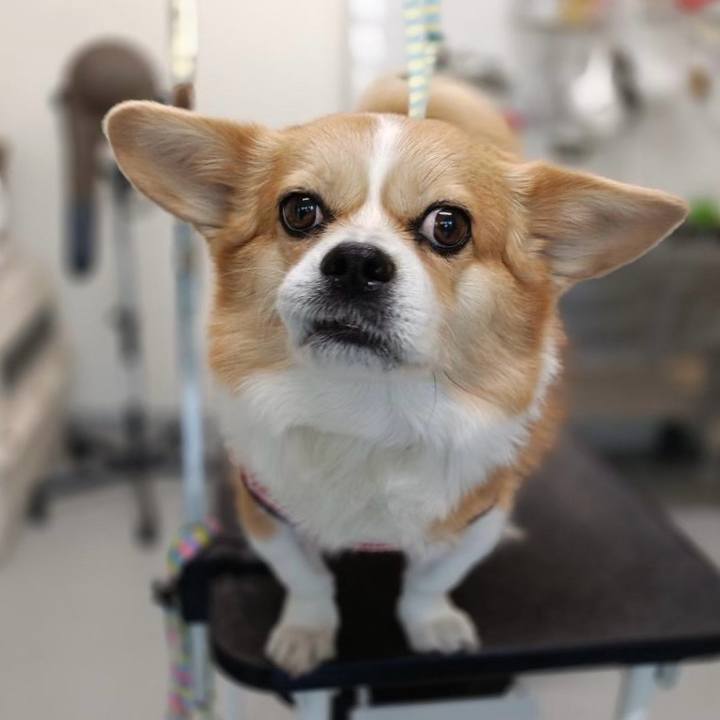 Fdddfe72 dd9f 4090 b173 03981d4e620d 1765977908948