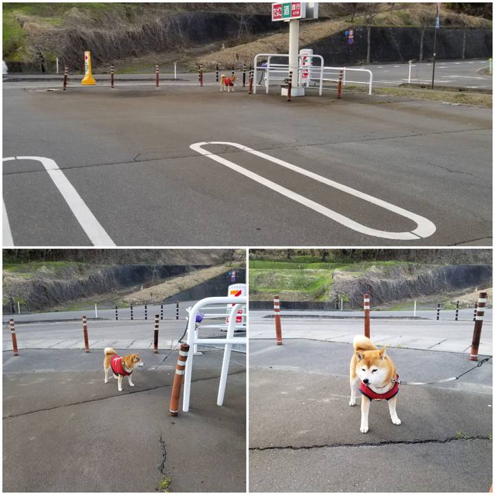 Fdde063c 41e0 4ef1 aa3d 6adc94ed5312 1555141200947