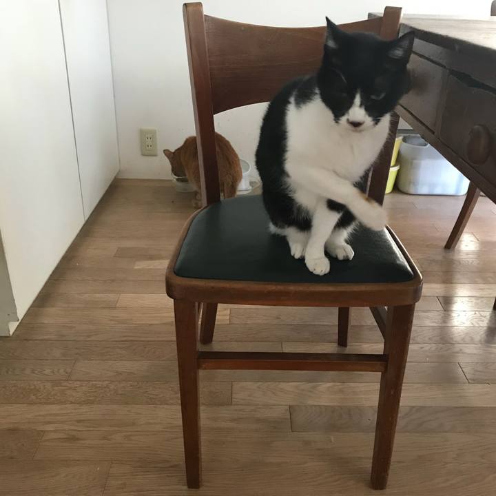 Fdde0cab 5566 4ba5 a5b6 3eb6be6d24be 1513503751051