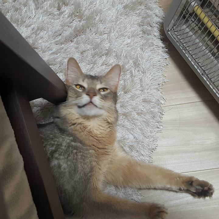 Fdde144f fb5e 4b1b a181 cdf01c92fd36 1519126599003