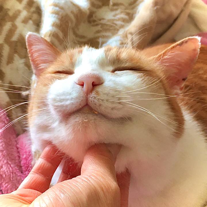 Fdde1889 8750 4e87 acdf 429a0ae79d36 1588315073442