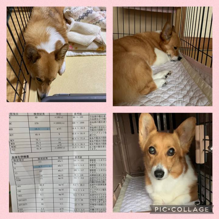 Fdde8a54 4ce4 42b8 be3e 73126e7f5167 1621590266354