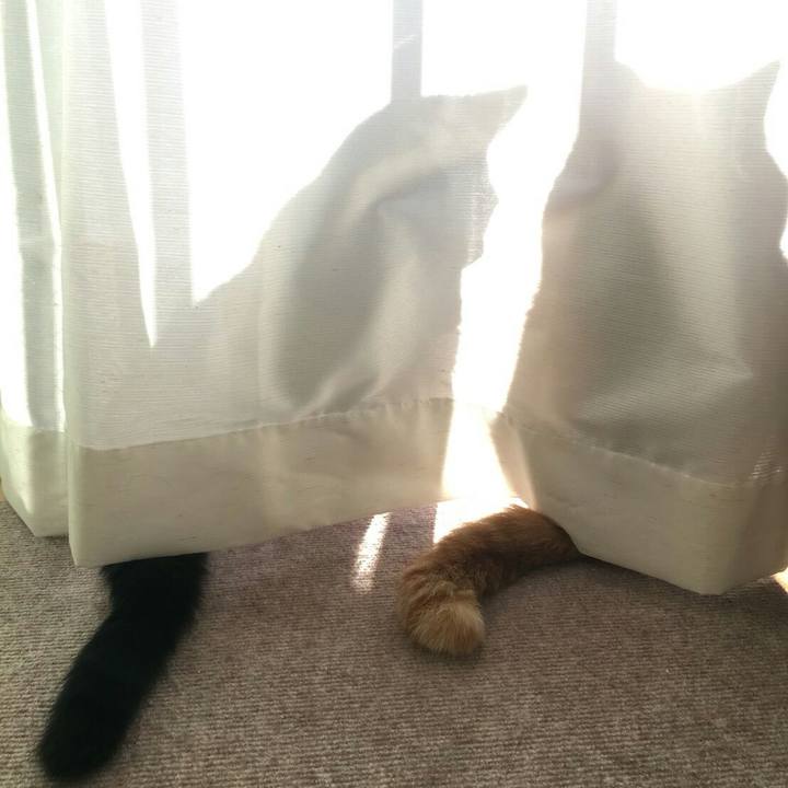 Fddec820 440b 4357 9f08 7d4195dadc2e 1510485380426