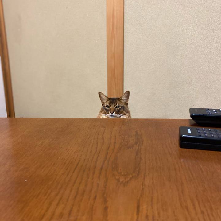 Fddefb48 0e27 4fee 8bab 0a4469513740 1641641440390