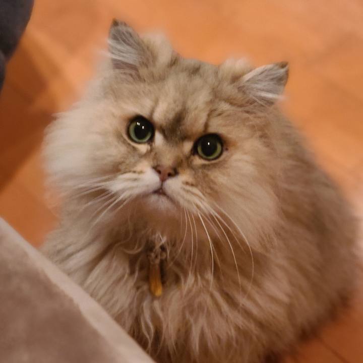 Fddefbd7 b6d8 47f3 8c06 dcb5c2fd531c 1713517842287