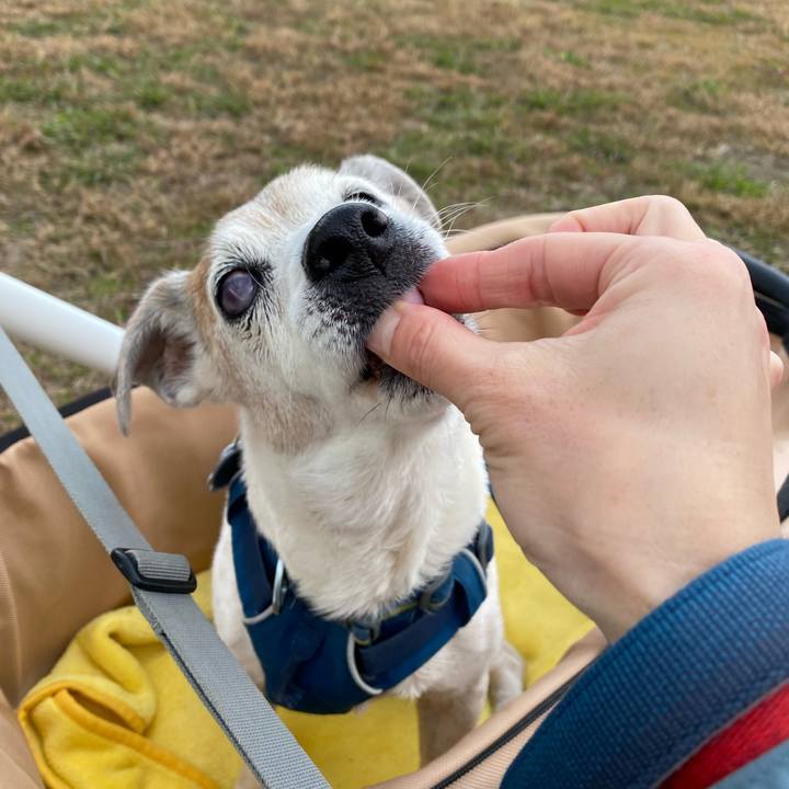 Fddfde7c b0ba 4cbd bcb7 51f2caf87ab6 1670739713954