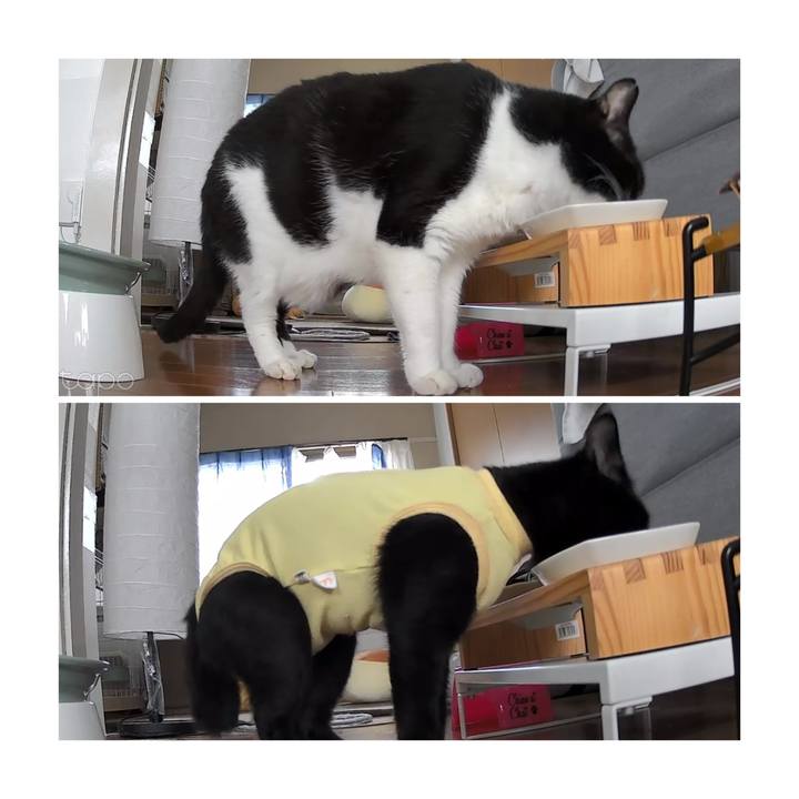 Fddfdf41 3d92 4b46 bf8a 87d6f20c0987 1728357058891