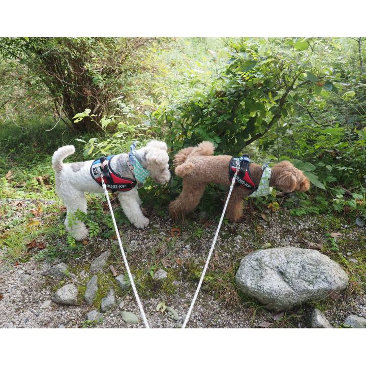 Fde0011d 255e 482f 9827 b70b39f09e74 1566407274995