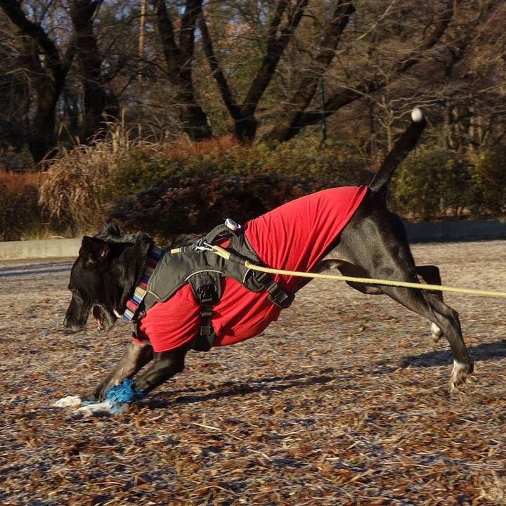 Fde0702b e089 4042 9dcf 025b57ea3a09 1641691249881