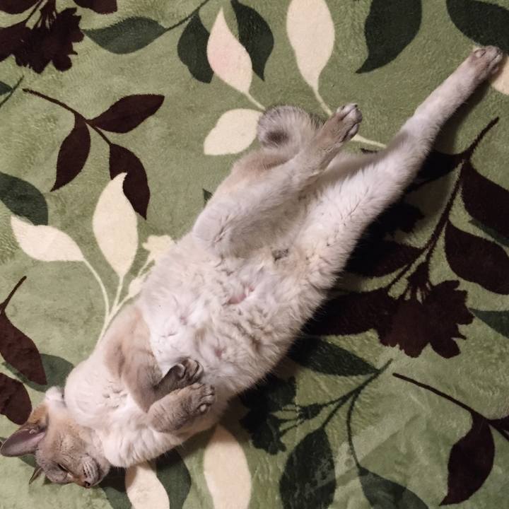 Fde07db1 557a 40fe 8b97 fe76aef4bb3e 1583616350508