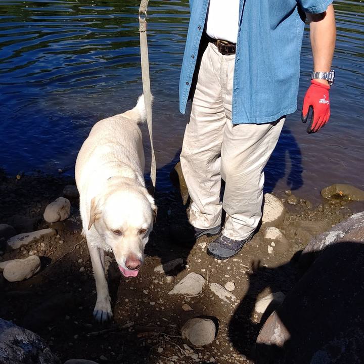 Fde0a24f 20b0 410b acf5 bd93d59c4906 1597456013085