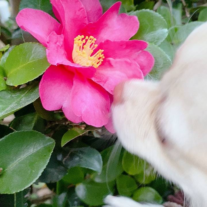 Fde0fb66 b8bf 43c3 9259 4250d2ae2ed3 1608106568023