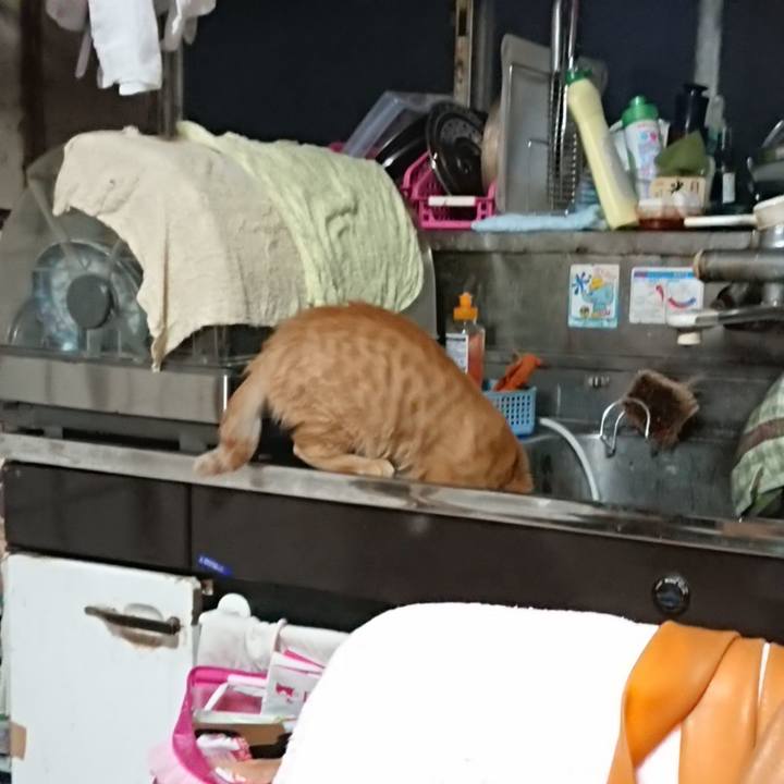 Fde0fe97 16b9 4933 b1fc 313f3640a430 1635108378615