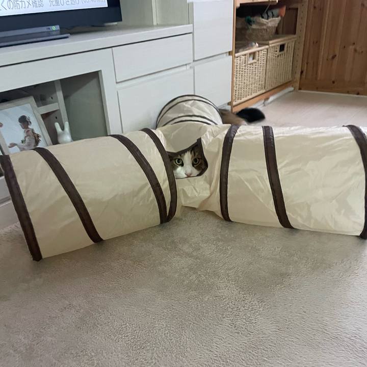 Fde137db 55dc 4a8b 8bb0 d0037d0e53e8 1747554653151