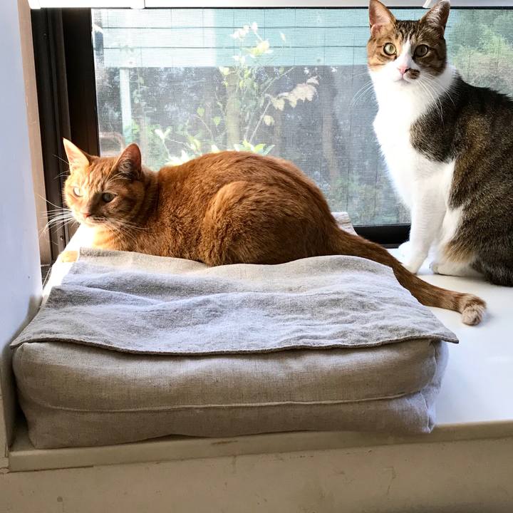 Fde16d09 3f4f 4453 ac8a 0a604dc19eaa 1509363997448