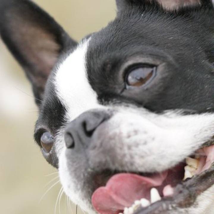 Fde17263 fff6 4a6a 8241 72ae090cb62e 1548671236806