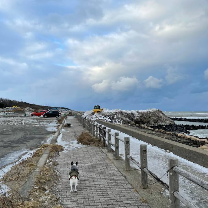 Fde1b062 7e06 497c 9037 787096d523a2 1611098335998