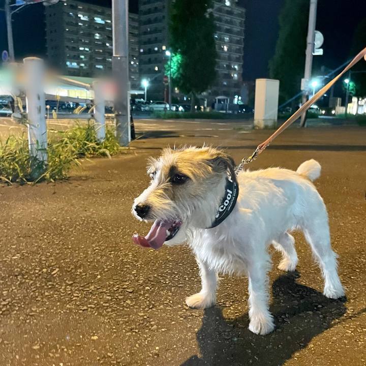 Fde1b6c8 f9eb 4740 8f3e 90877c659eb2 1659357888640