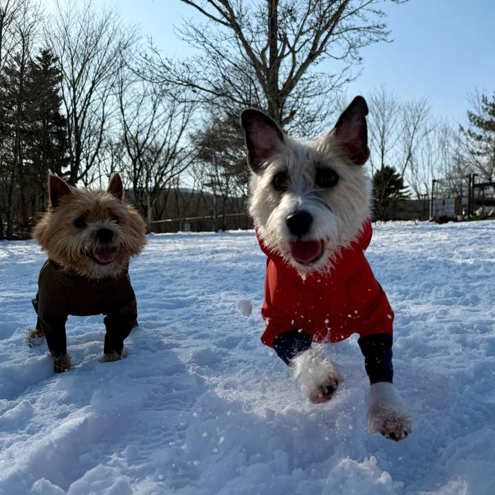 Fde1cc77 d0d8 426c 83c9 4c9a6a3ee4f8 1768483886113