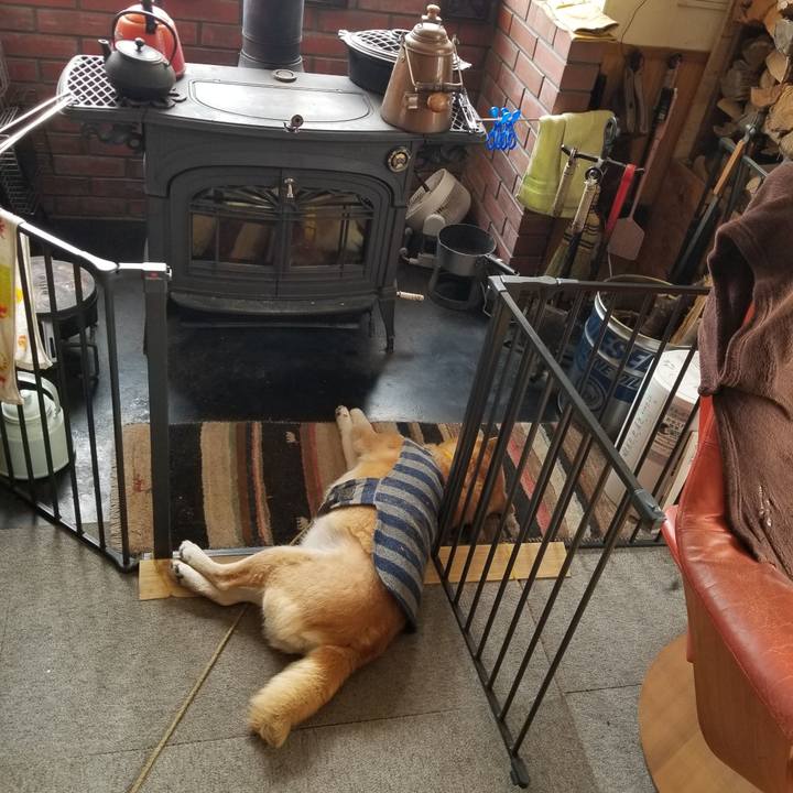 Fde21757 f455 454b 945f 26e461cd7119 1675823437789