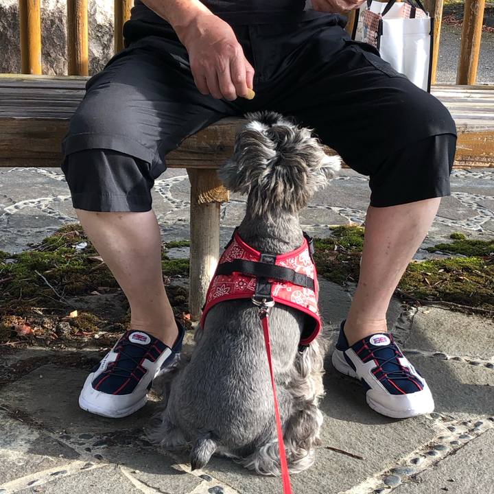 Fde2a63d 90fc 410f aa64 8019f3c44ef3 1569110902658