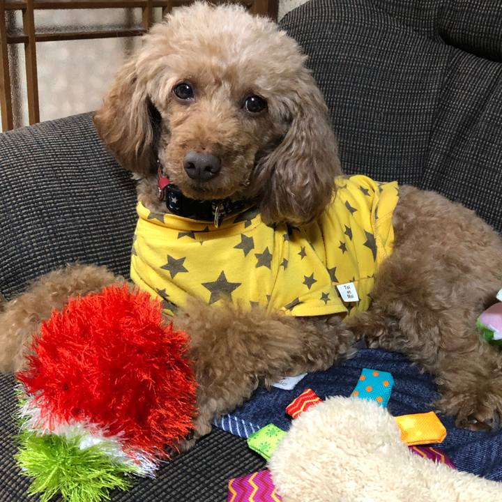 Fde2b3cc 5473 4323 bdaa 9d7cd4fe190a 1621385272493