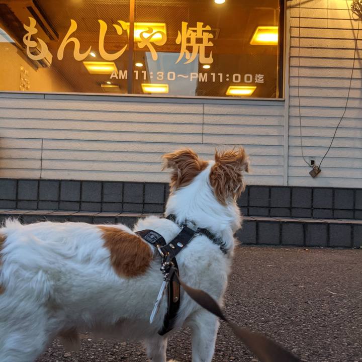 Fde2ed9b 6633 44f0 9c1c cf415ba45b86 1627509396147