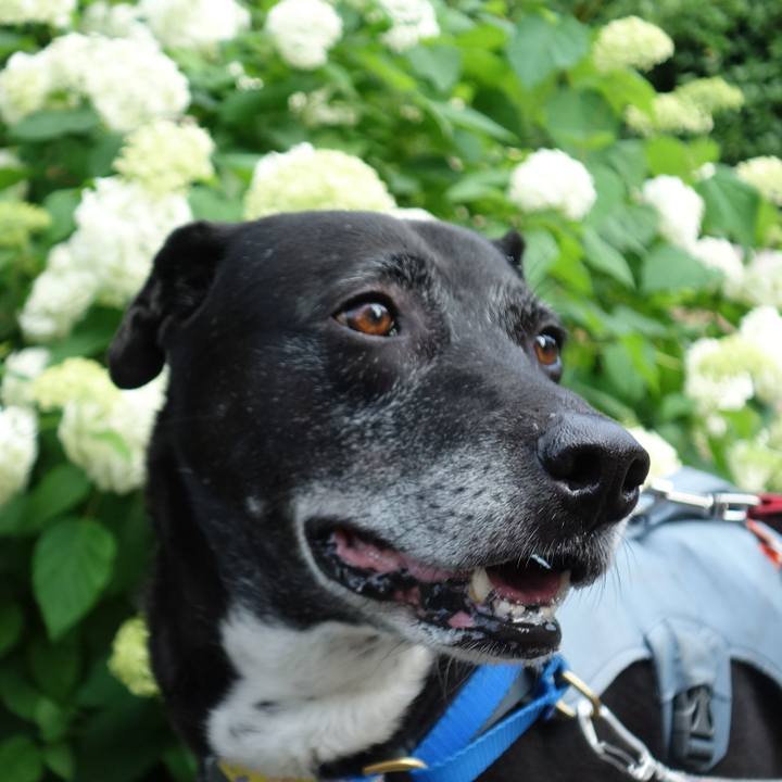 Fde31131 f645 4961 9b87 f0e60dd5e856 1749690527022