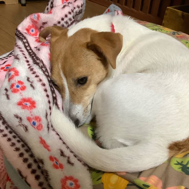 Fde3494c af58 4a2f 95b8 fe850b4f88bc 1571264034092