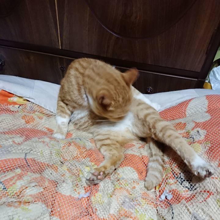 Fde3710e 6cc8 48a0 8e4d 7802d7791fd1 1570901039578