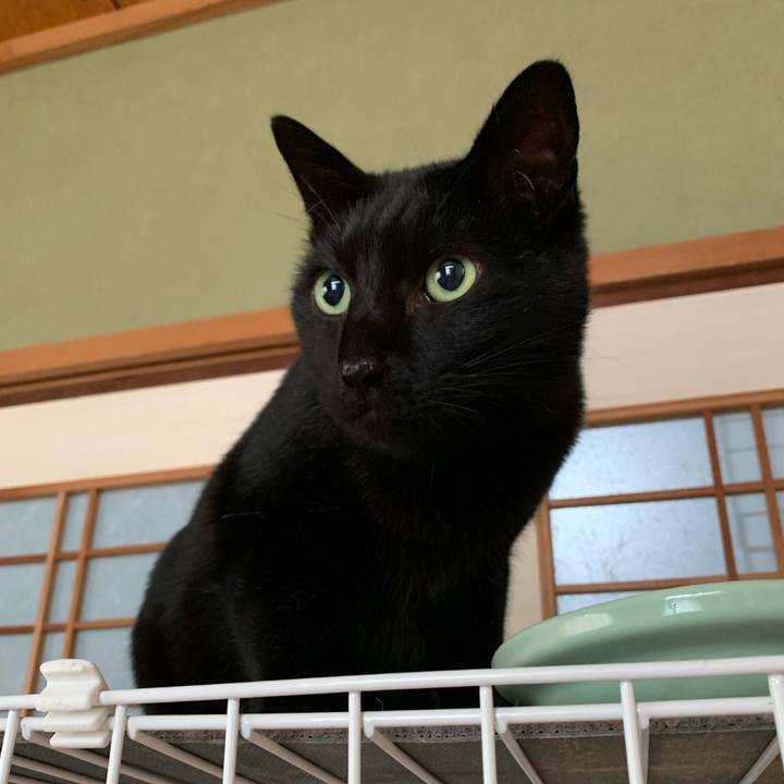 Fde38104 1e37 4e4f 82c3 1146aa43cf21 1545702058206