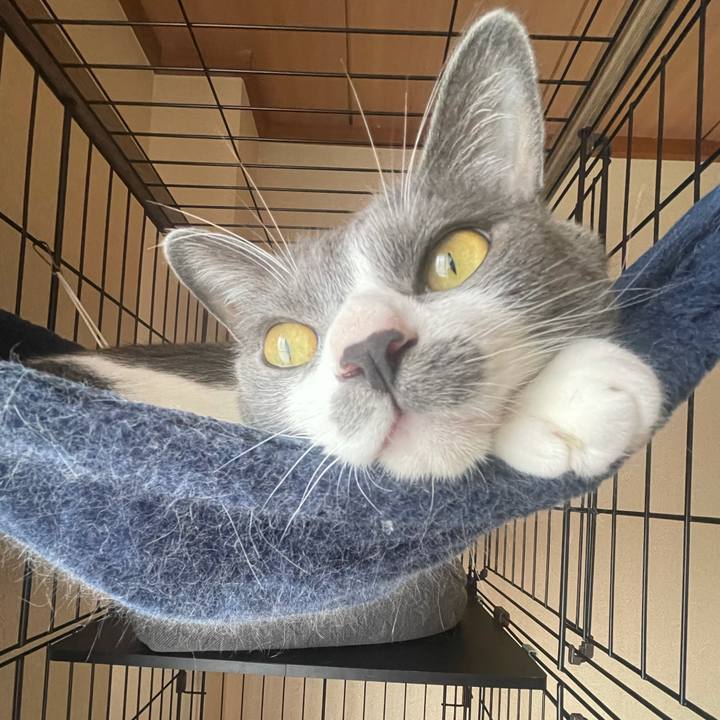 Fde38cb8 7c16 4355 a630 274b098a517b 1625812201663